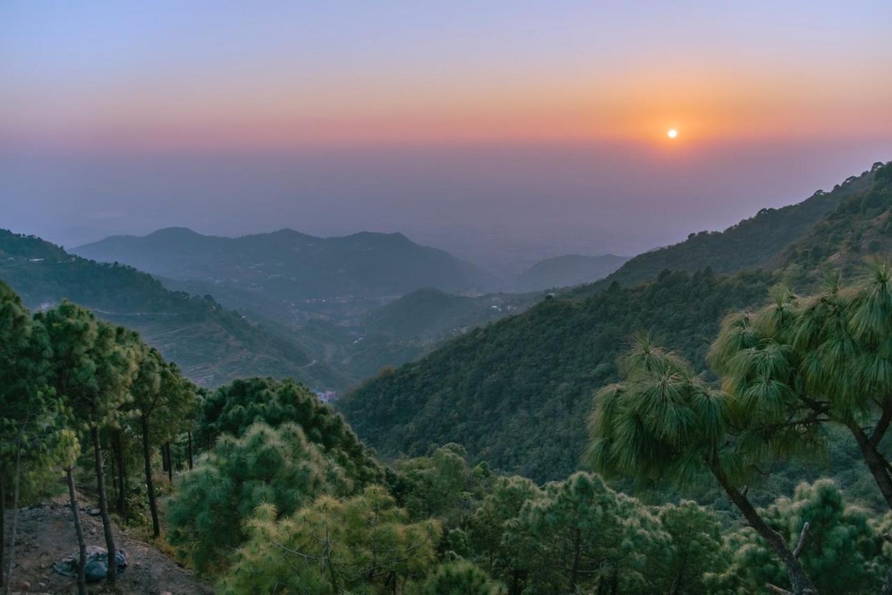 Urban Wave 2Bed Rooms By The North Edge Kasauli Eksteriør billede