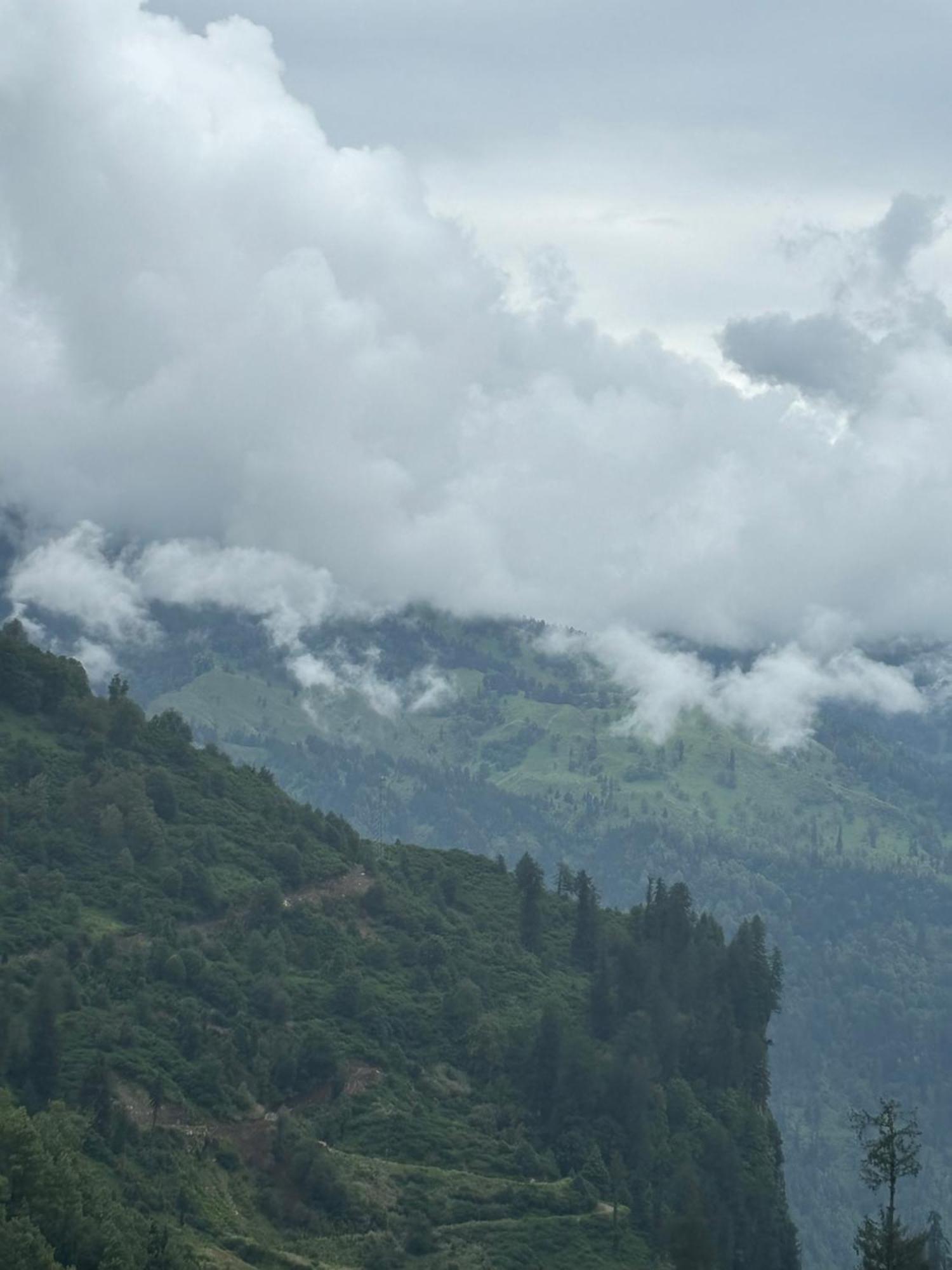 Urban Wave 2Bed Rooms By The North Edge Kasauli Eksteriør billede